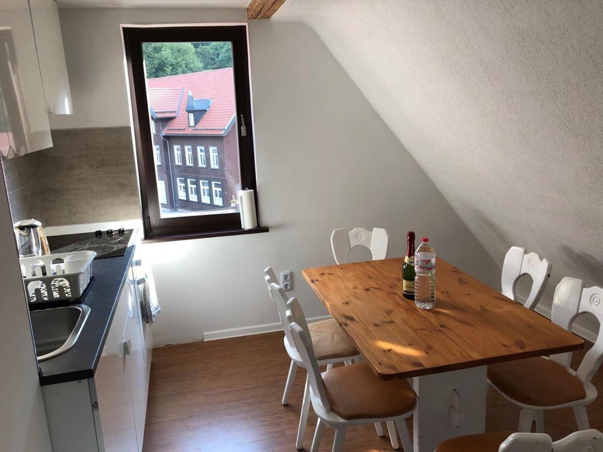 Ferienhaus Art Apartment - Harz Zorge Exterior photo