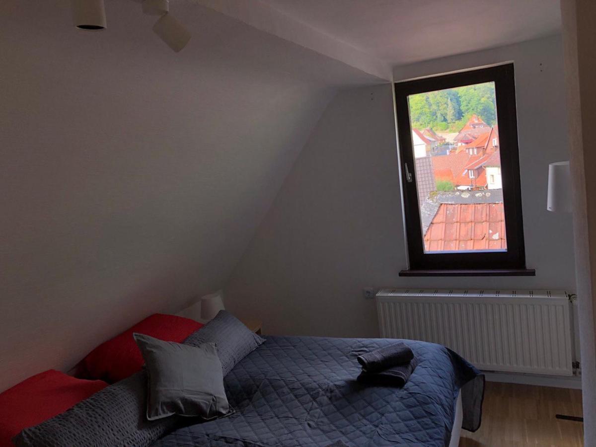 Ferienhaus Art Apartment - Harz Zorge Exterior photo