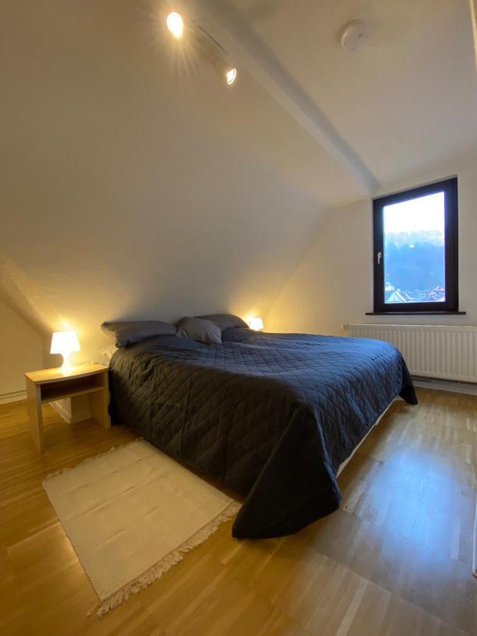 Ferienhaus Art Apartment - Harz Zorge Exterior photo
