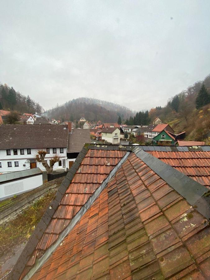 Ferienhaus Art Apartment - Harz Zorge Exterior photo