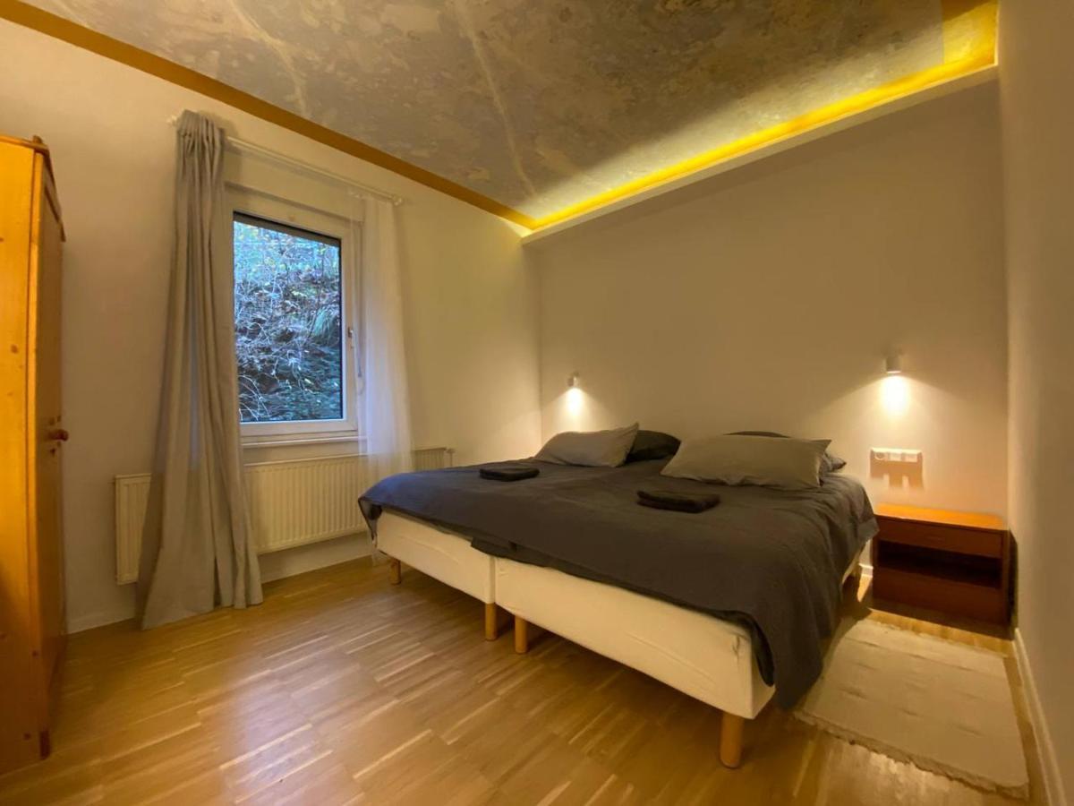 Ferienhaus Art Apartment - Harz Zorge Exterior photo